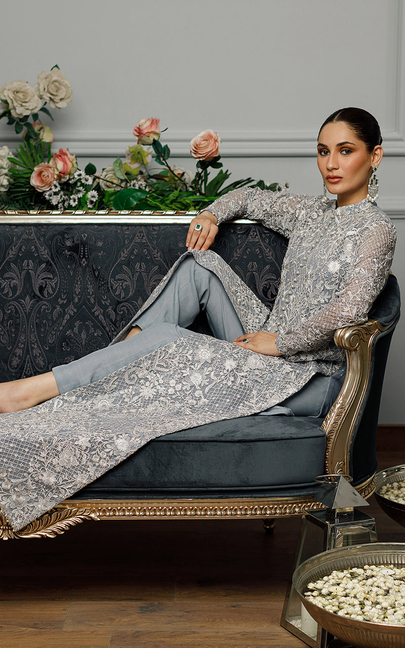 Net Embroidered Dress