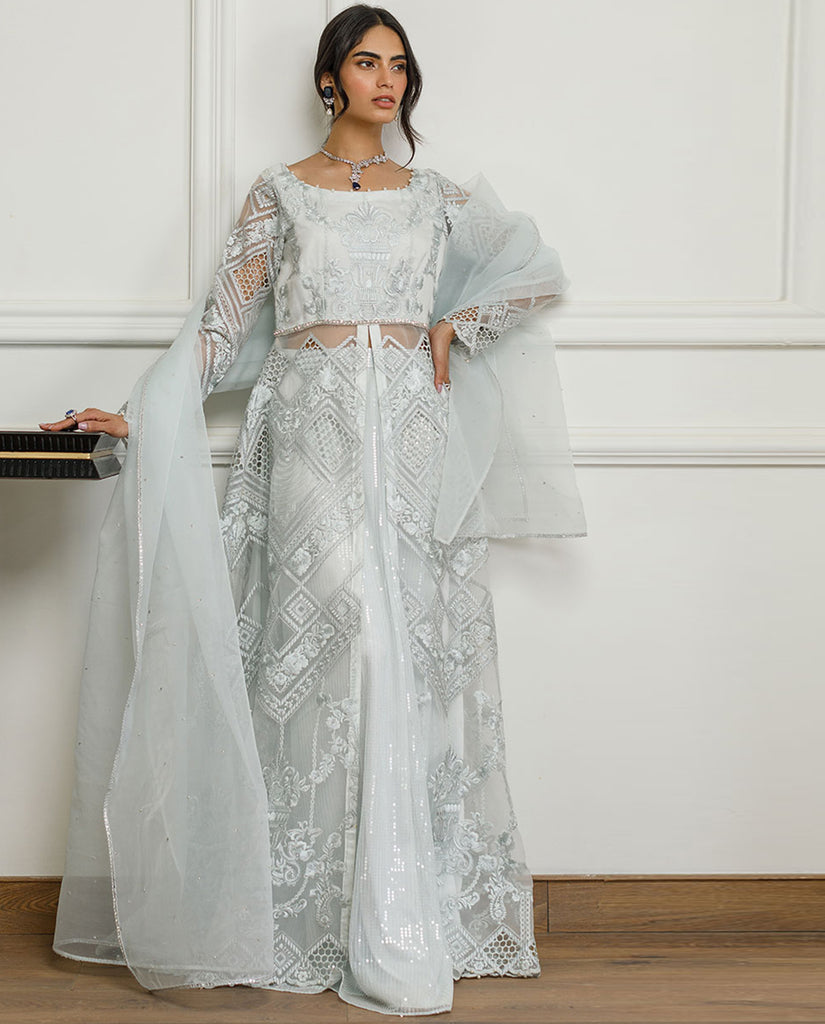 Organza Embroidered Dress With Skirt