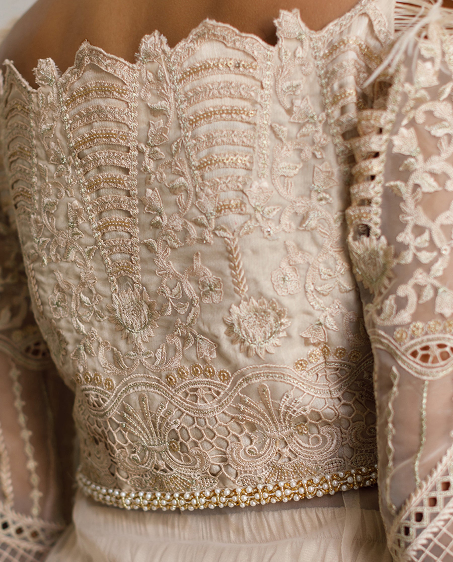 Organza Embroidered Dress