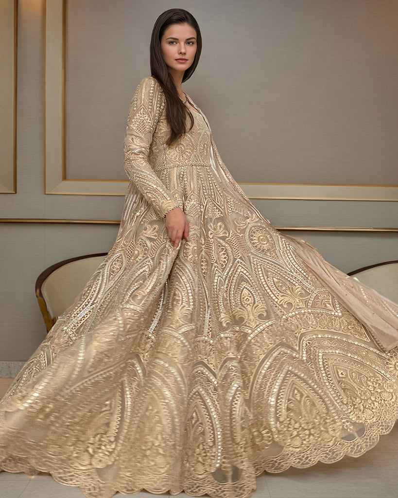 Organza Embroidered Maxi