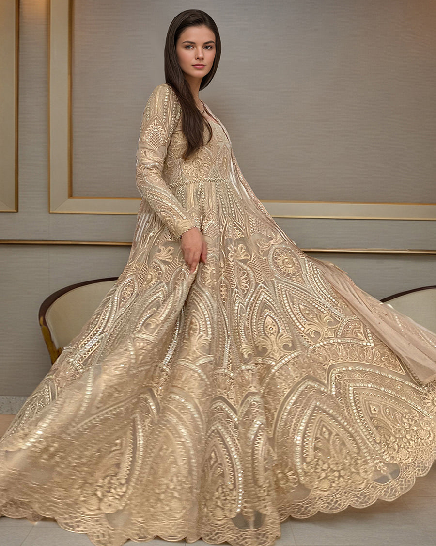Organza Embroidered Maxi