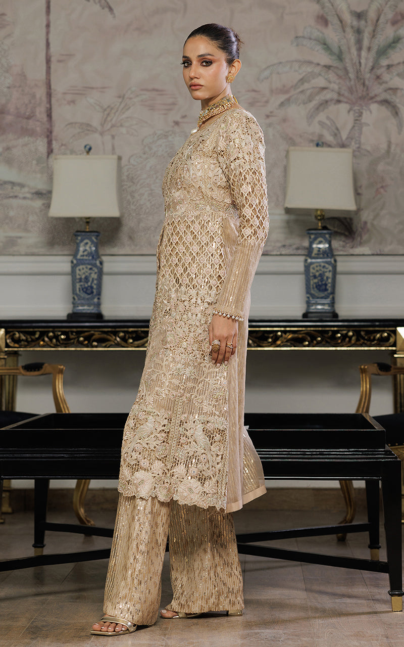 Organza Embroidered Dress With Trouser