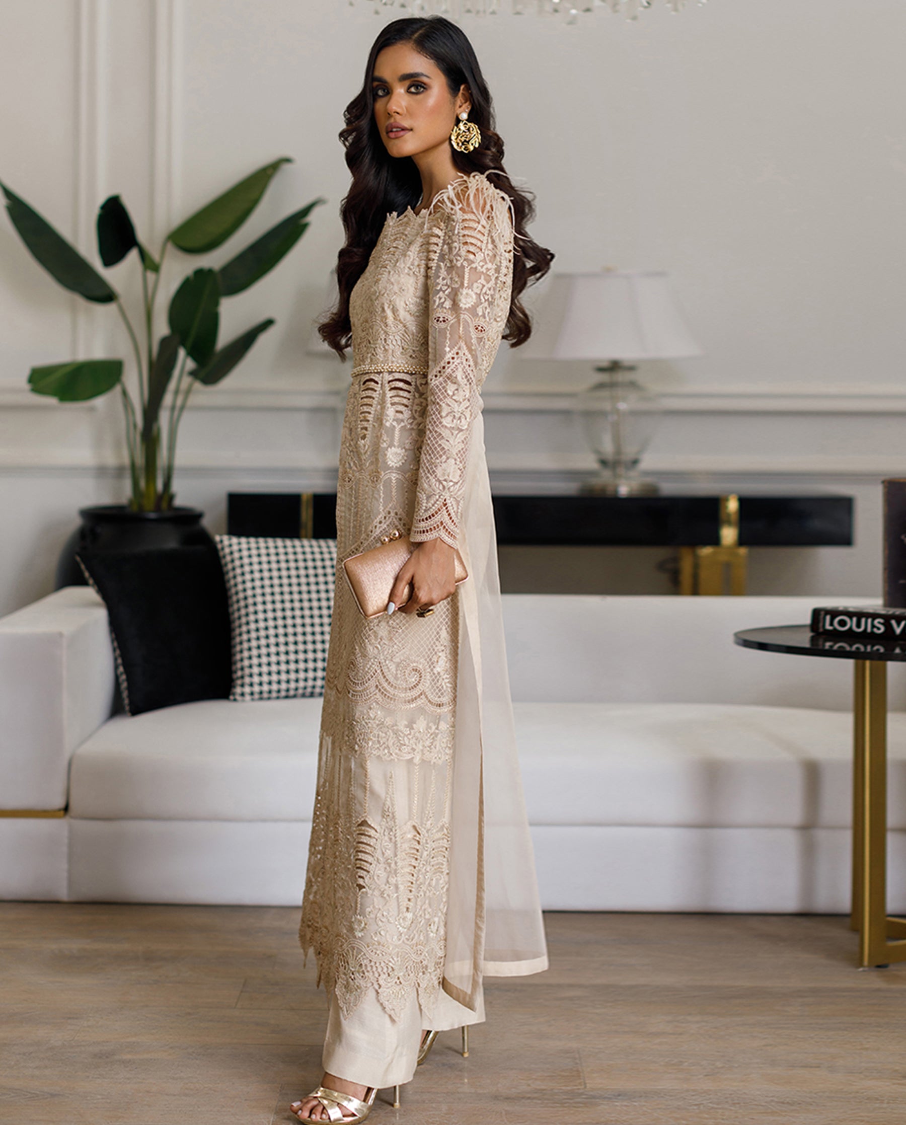 Organza Embroidered Dress