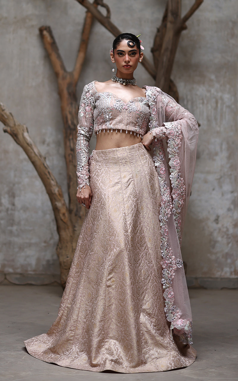 Organza Embroidered Blouse With Lehenga