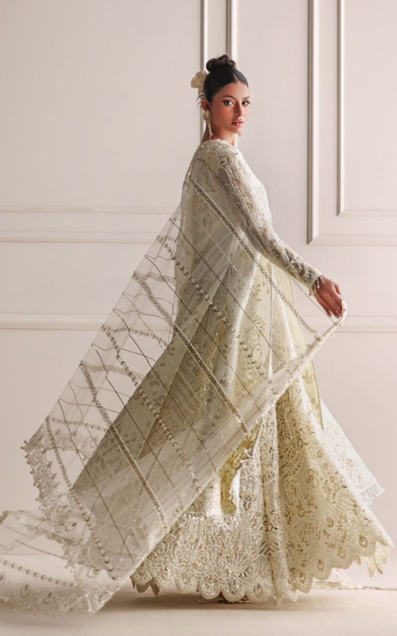 Cirelle Luxe Jacket with Lehenga