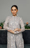 Net Embroidered Dress