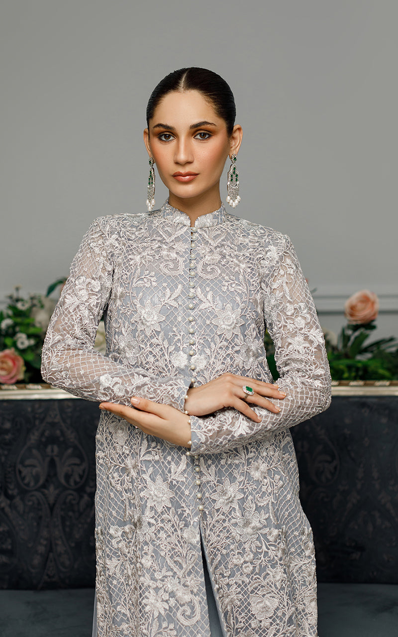 Net Embroidered Dress