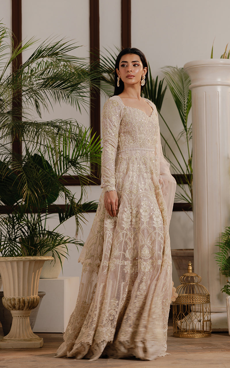 Net Embroidered Maxi