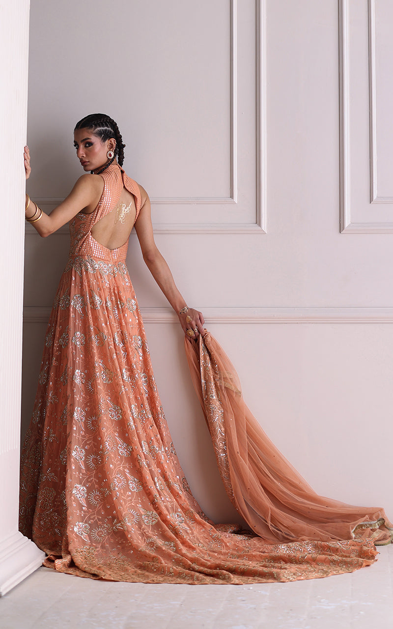 Coral Bloom