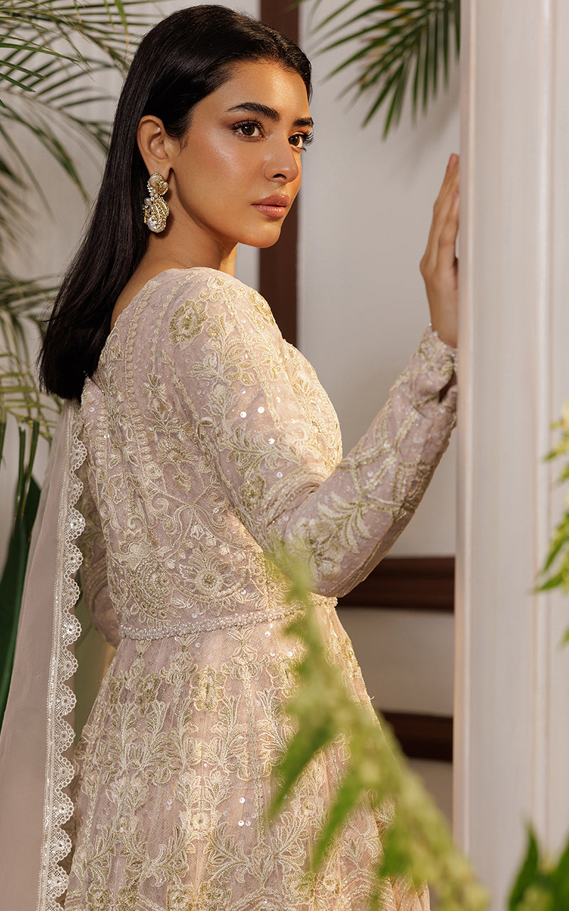 Net Embroidered Maxi