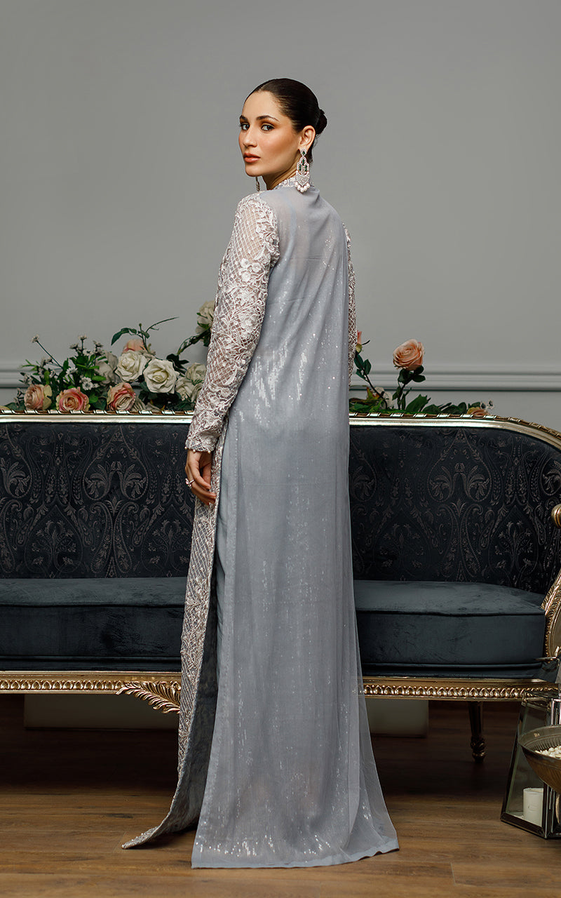 Net Embroidered Dress