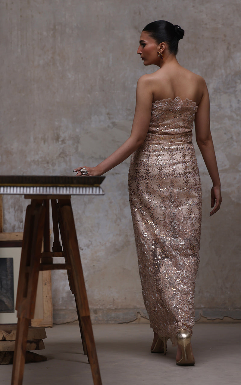 Net Embroidered Dress