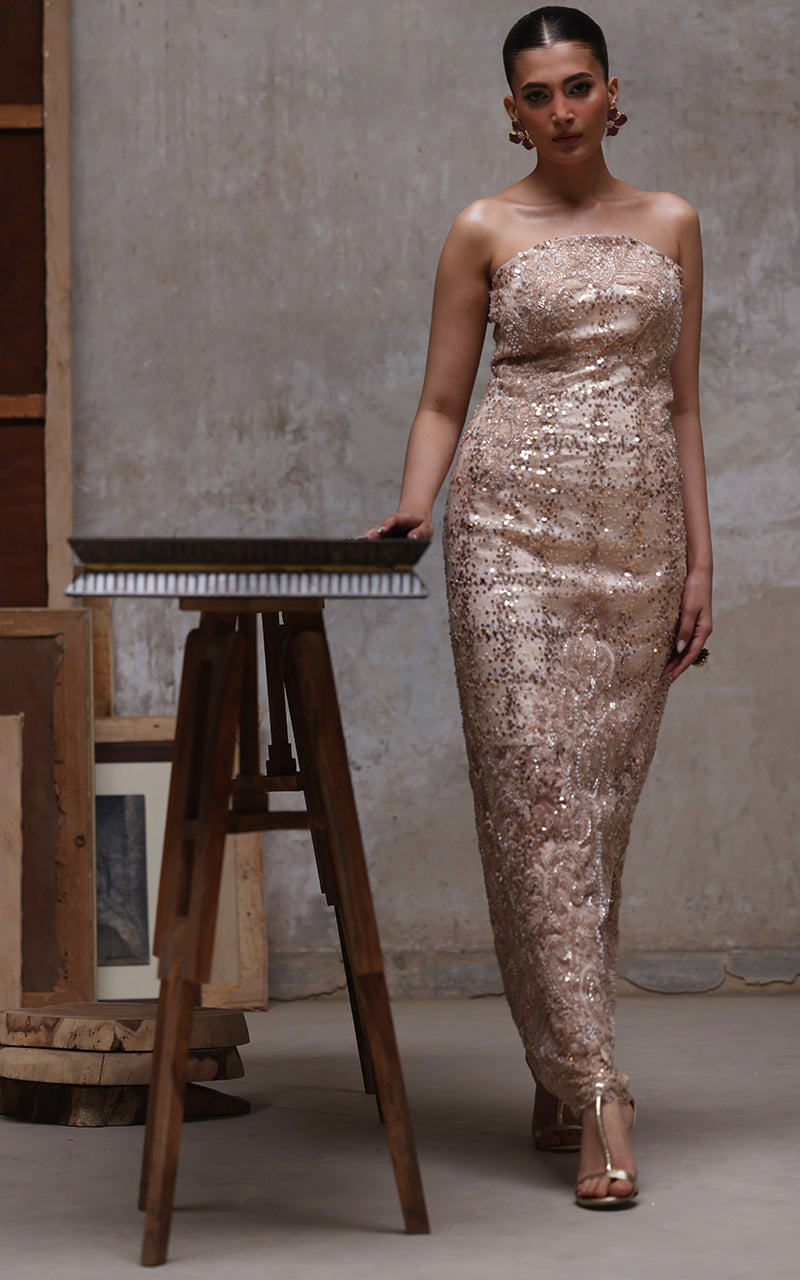 Net Embroidered Dress