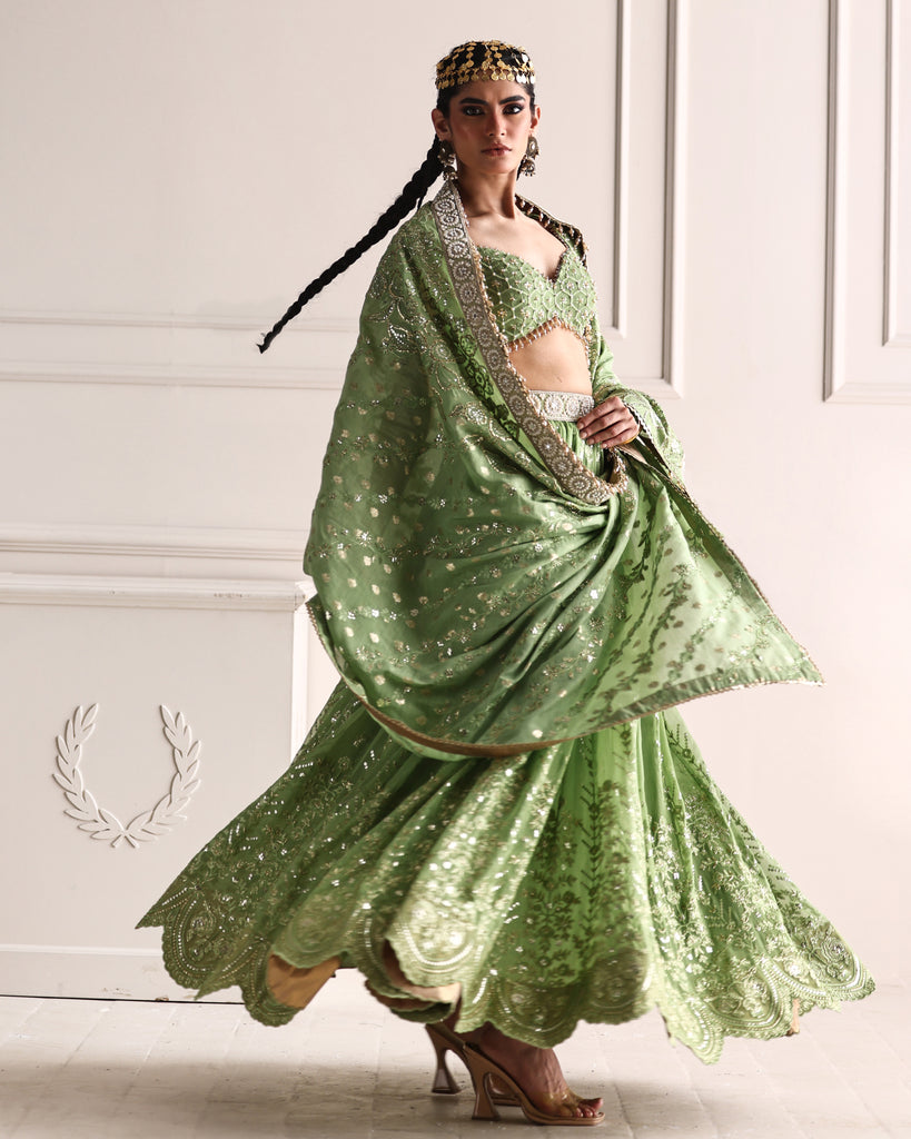 Embroidered Blouse And Lehenga