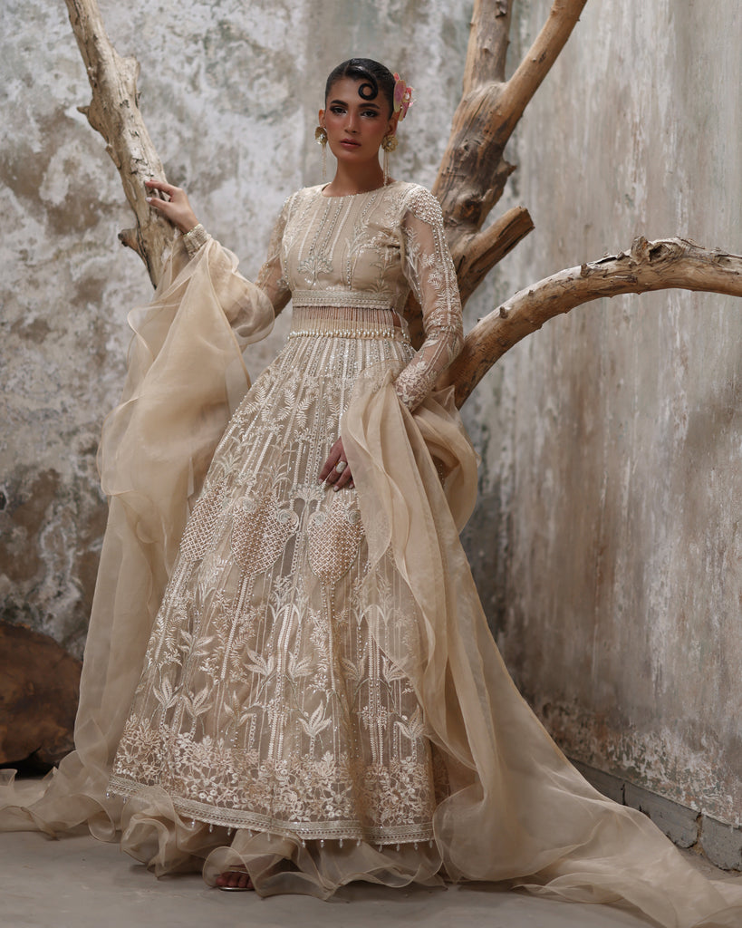 Organza Embroidered Blouse And Lehenga