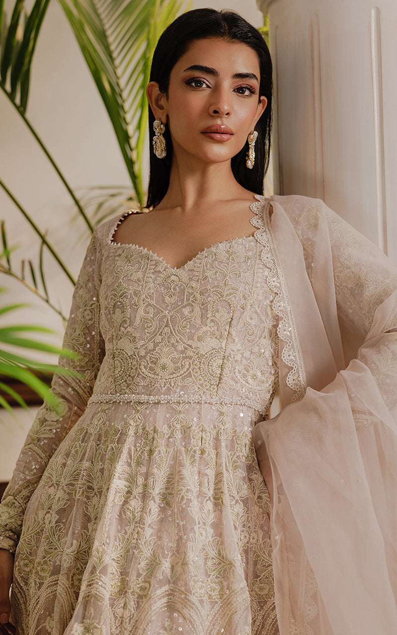 Net Embroidered Maxi