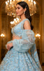 Embroidered Blouse With Lehenga