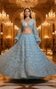 Embroidered Blouse With Lehenga
