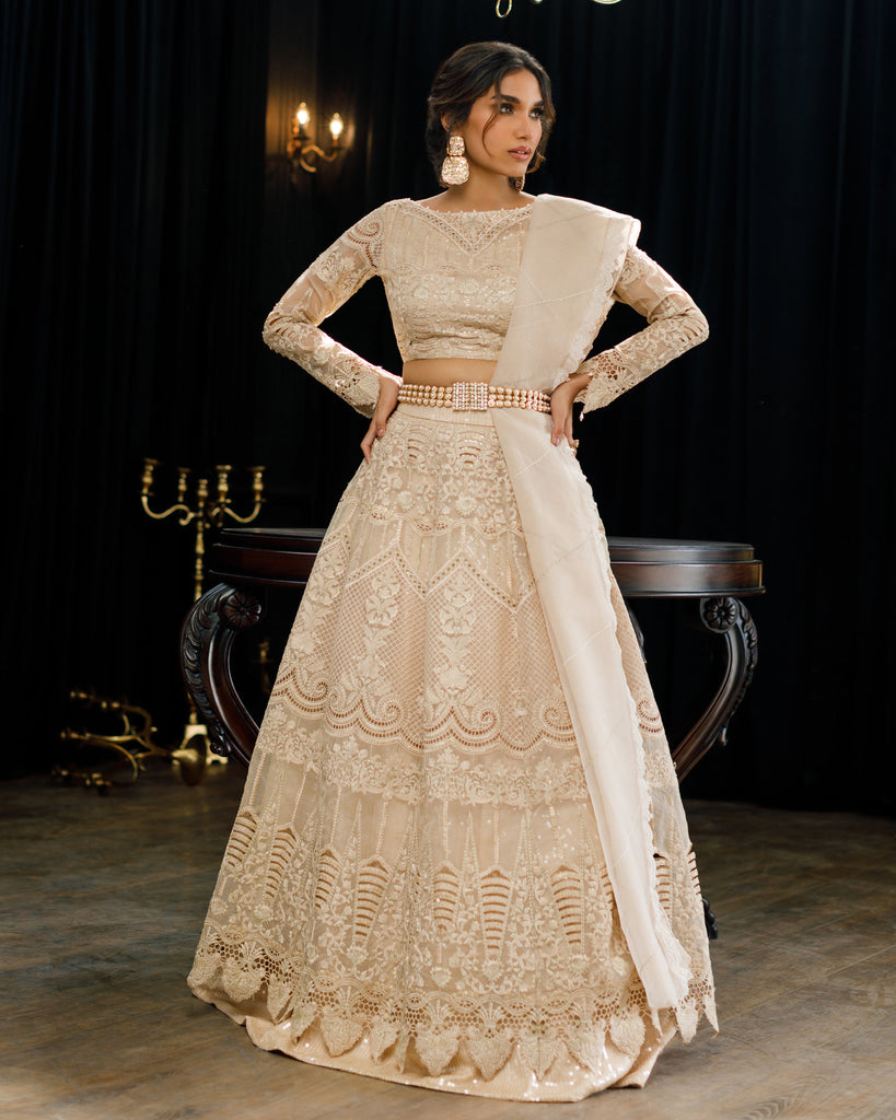 Organza Embroidered Blouse And Skirt