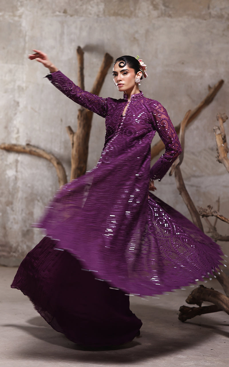 Organza Embroidered Jacket With Crushed Trouser