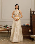 Elegant Beige Organza Embroidered Ensemble