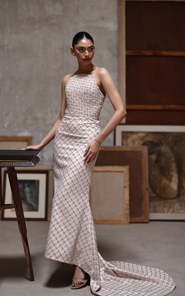 Net Embroidered Dress