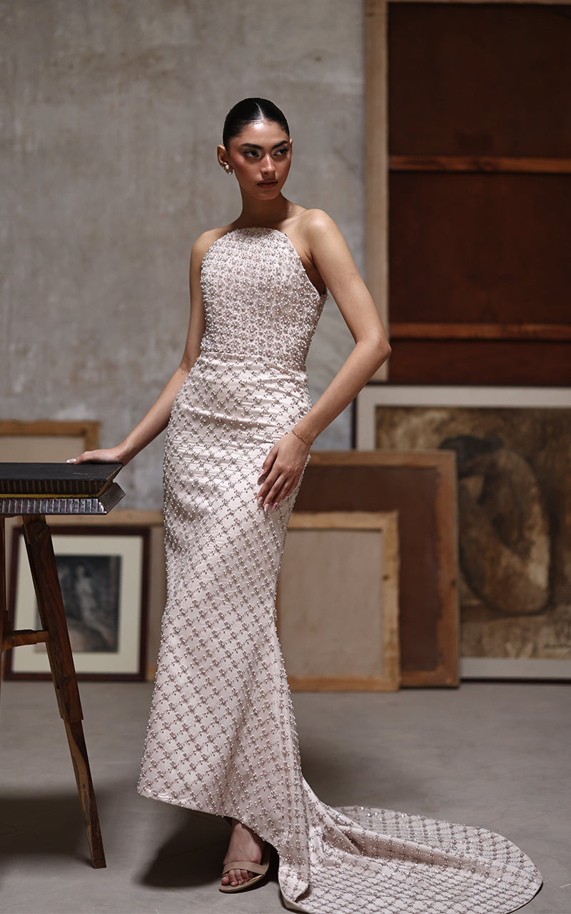 Net Embroidered Dress