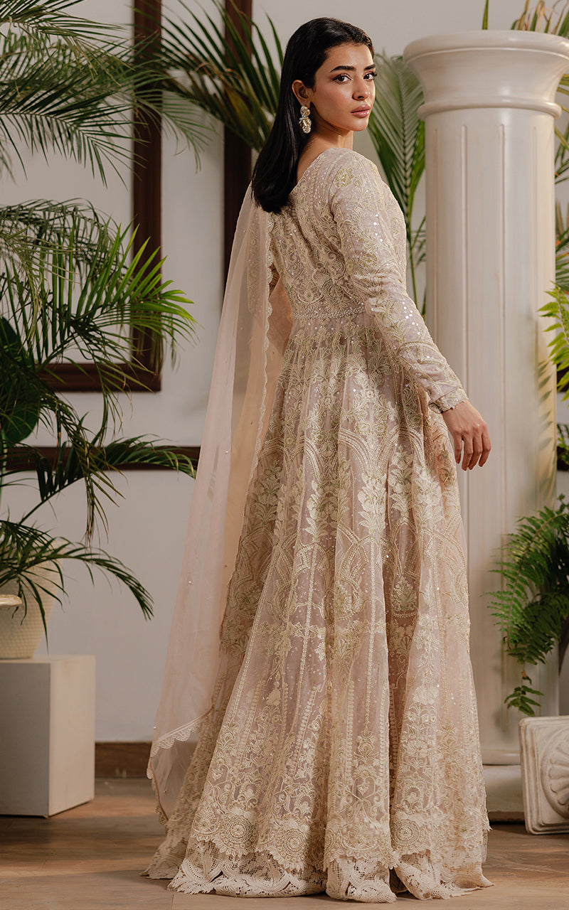 Net Embroidered Maxi
