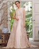 Unstitched Aurelia Net Dress