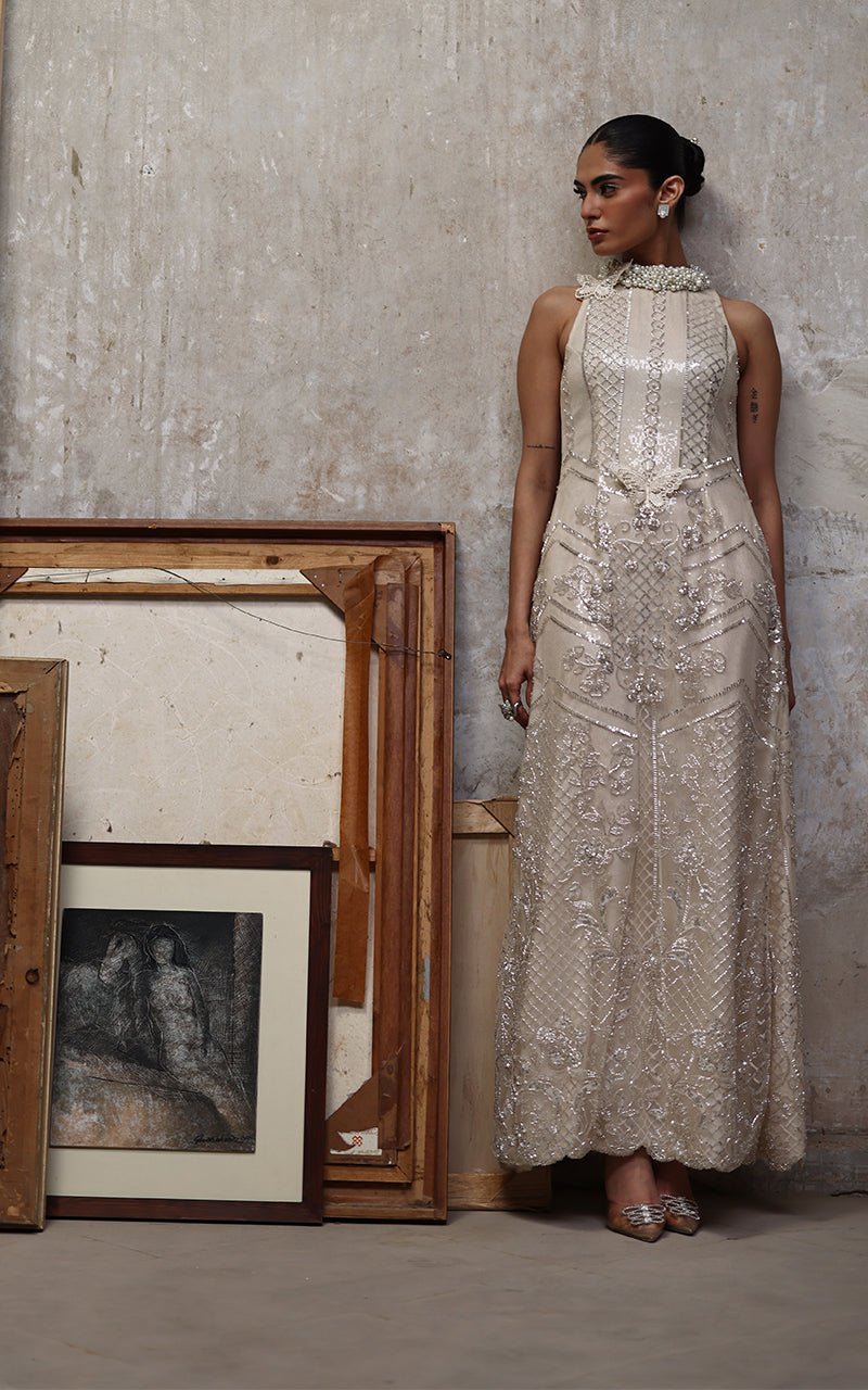 Net Embroidered Dress