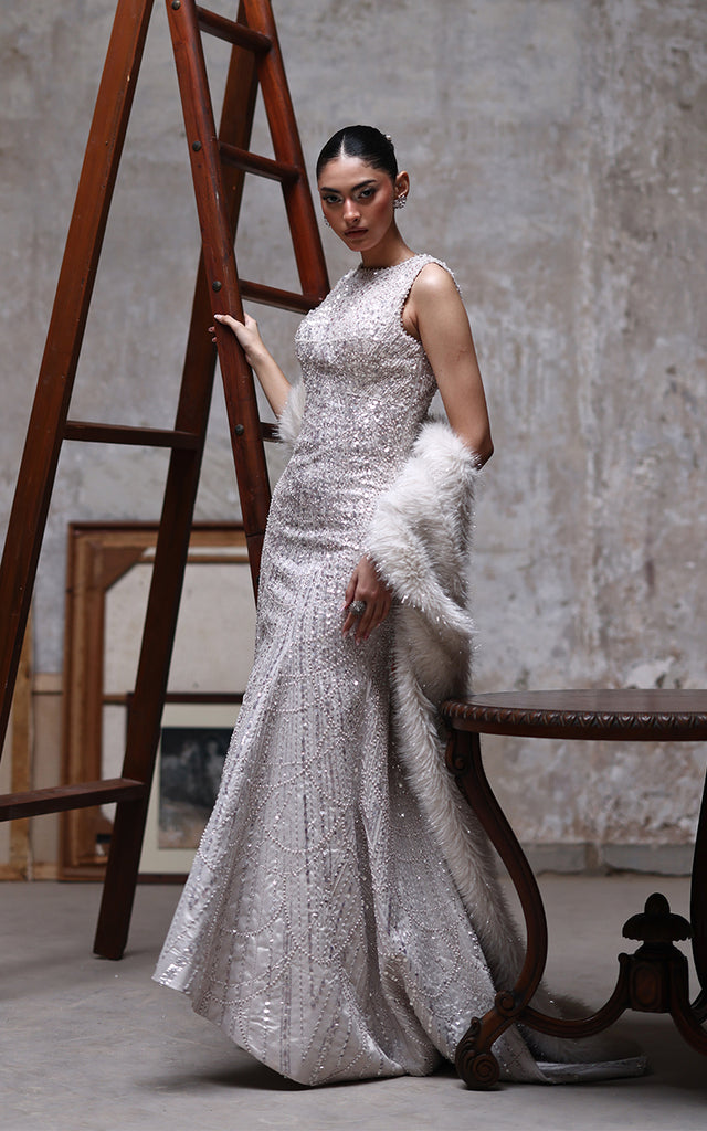 Net Embroidered Dress