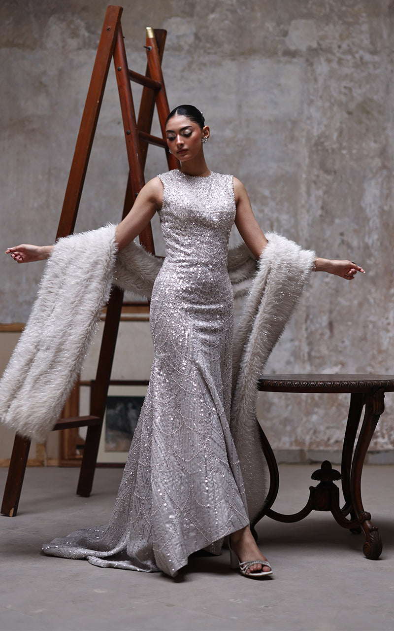 Net Embroidered Dress