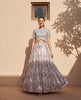 Silver Flora Mirror Look Lehenga Blouse