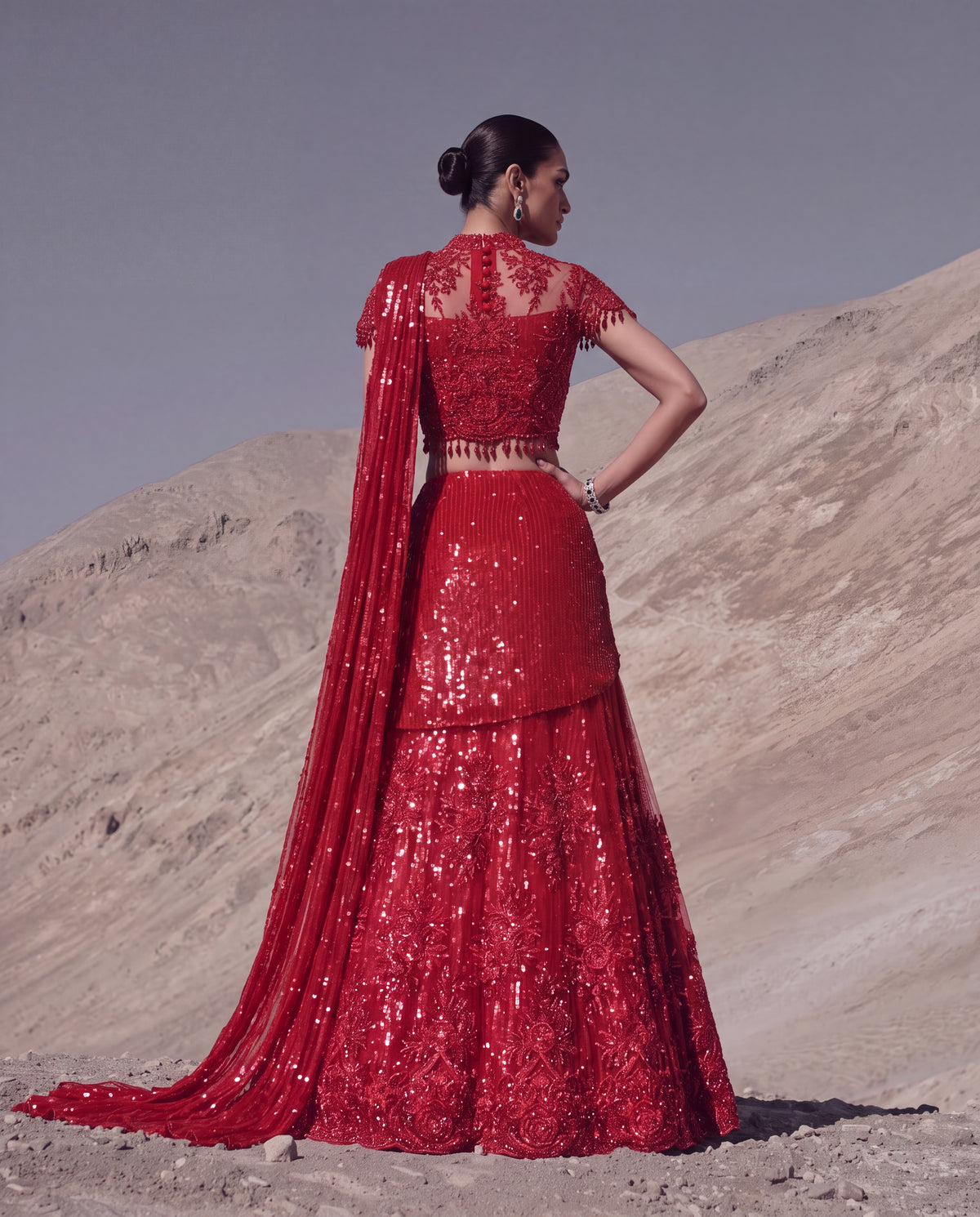 Ruby Reverie Skirt Saree