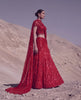 Ruby Reverie Skirt Saree