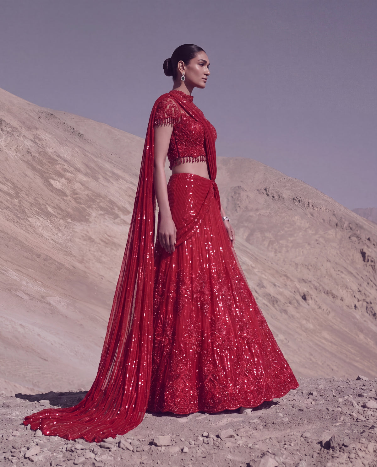 Ruby Reverie Skirt Saree