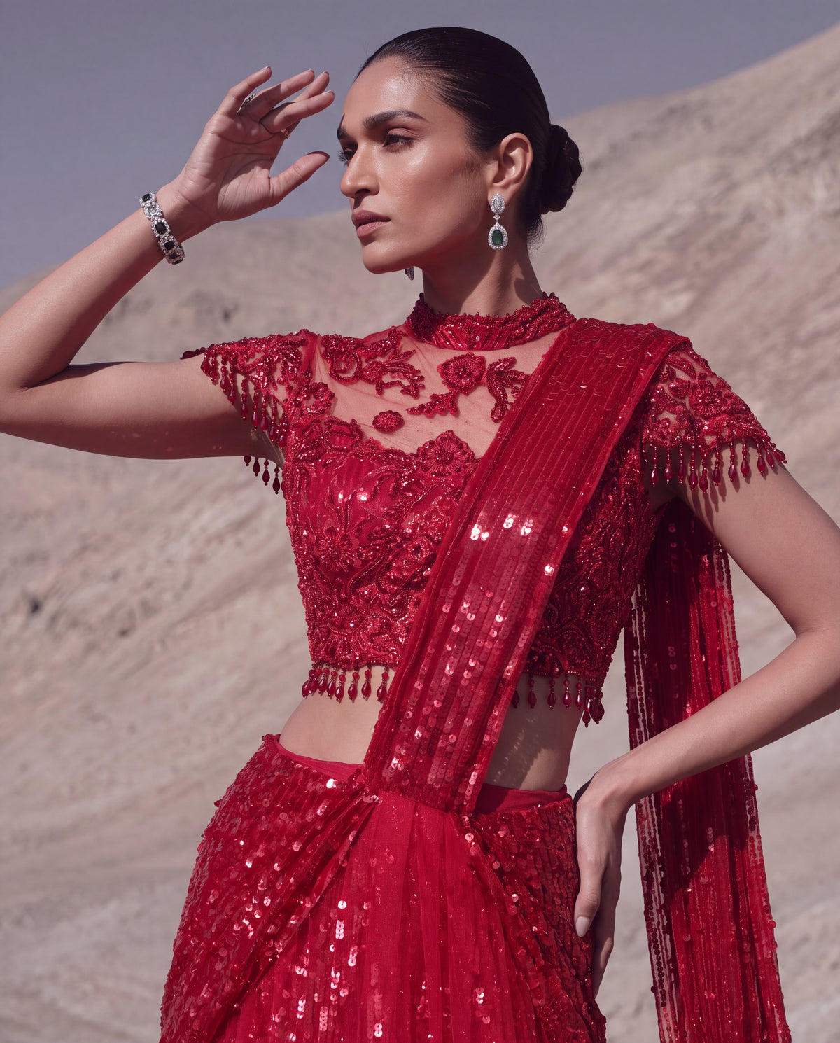 Ruby Reverie Skirt Saree