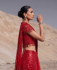 Ruby Reverie Skirt Saree