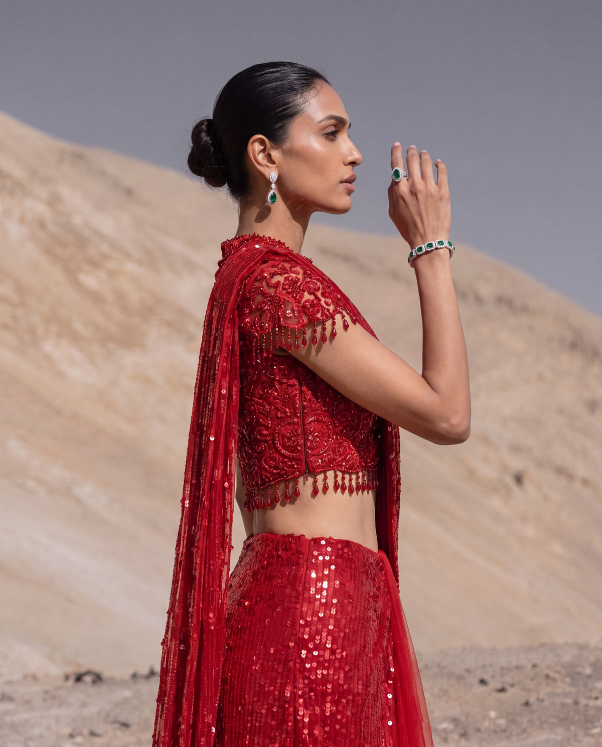 Ruby Reverie Skirt Saree