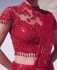 Ruby Reverie Skirt Saree