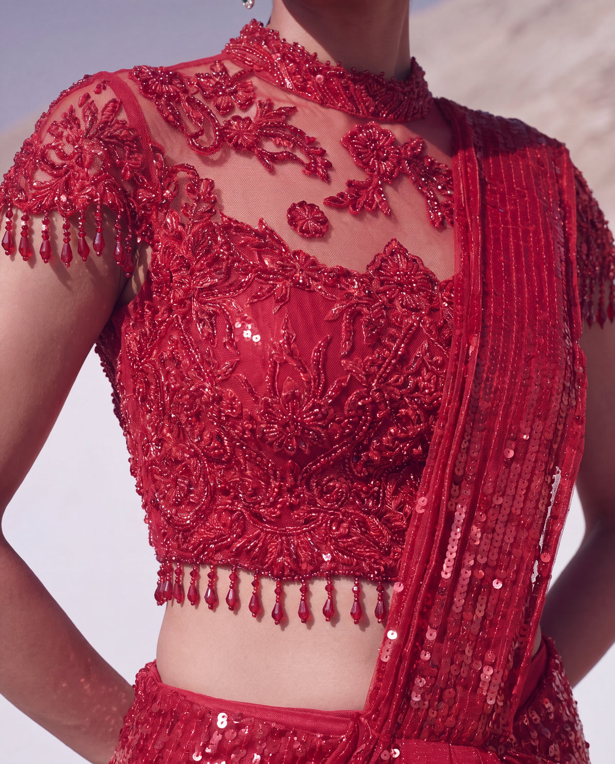 Ruby Reverie Skirt Saree