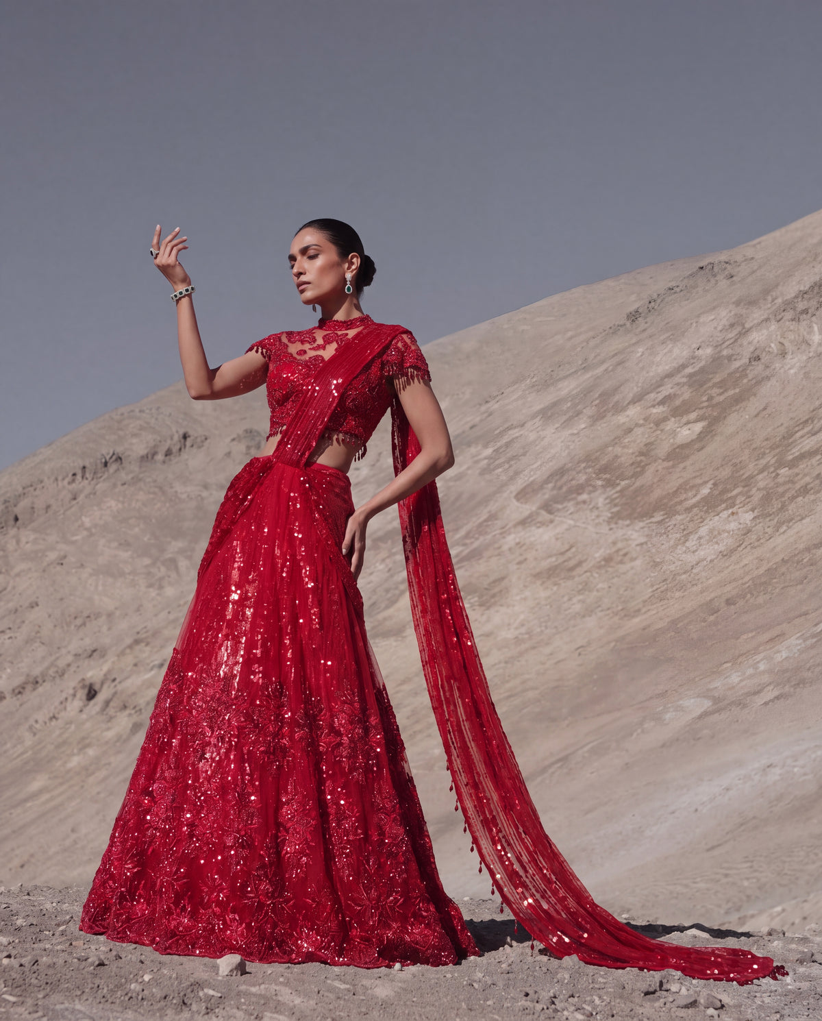 Ruby Reverie Skirt Saree