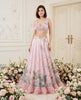 The Blush Radiance Sequin Lehenga Set