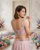 The Blush Radiance Sequin Lehenga Set