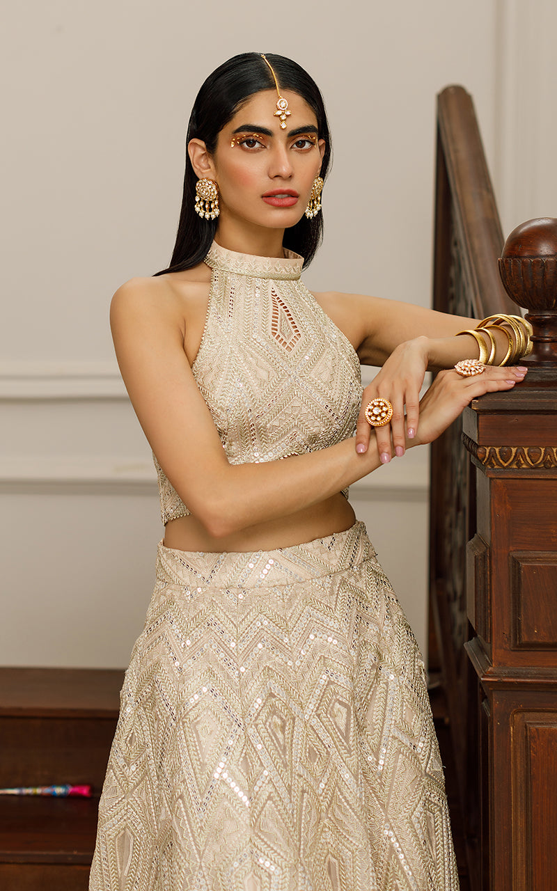 Unstitched Elegant Beige Organza Embroidered Ensemble