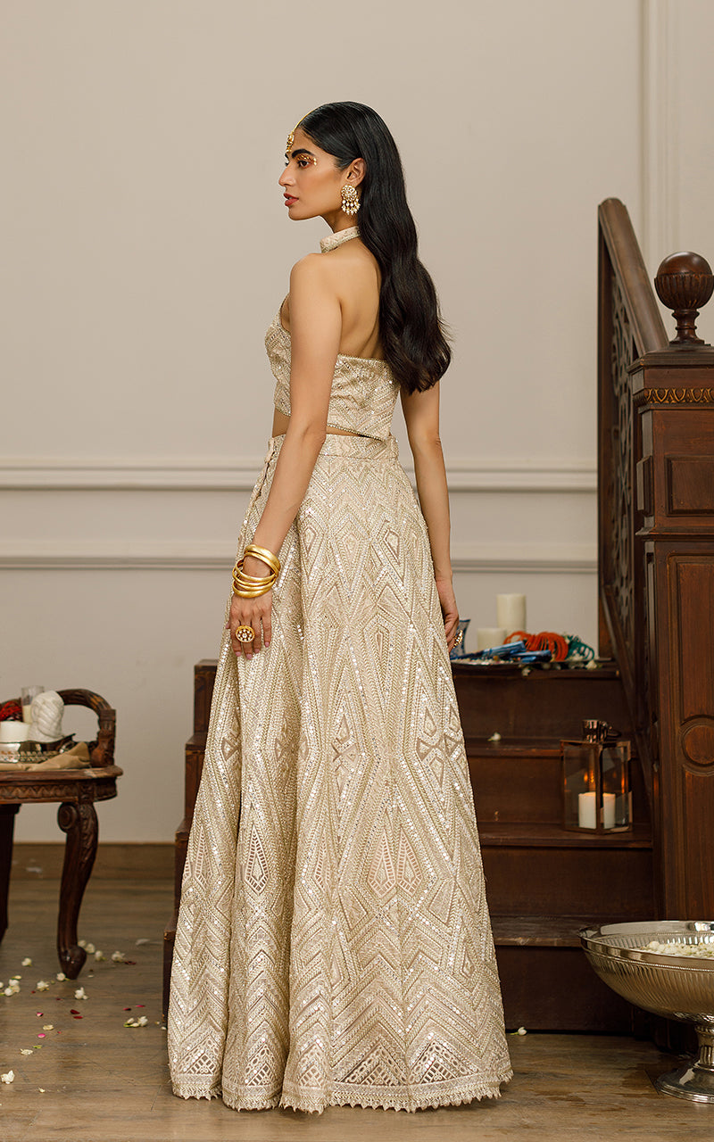Organza Embroidered Blouse With Lehenga