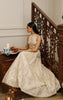 Organza Embroidered Blouse With Lehenga