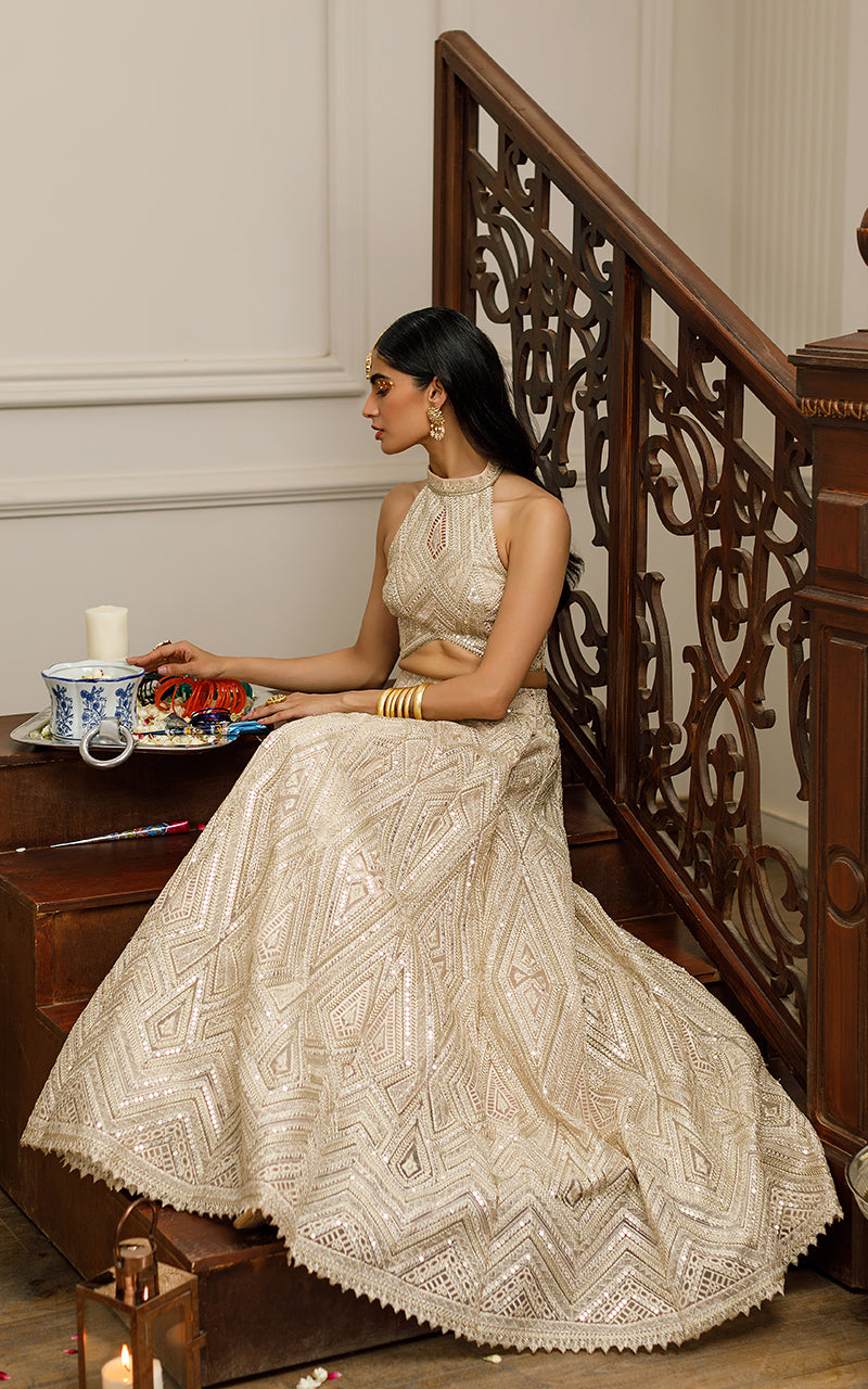 Organza Embroidered Blouse With Lehenga