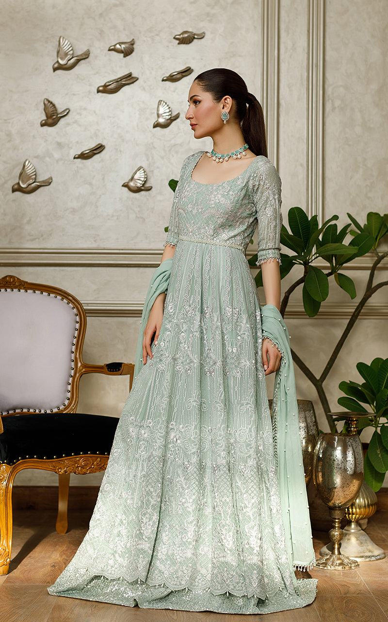 Chiffon Embroidered Maxi