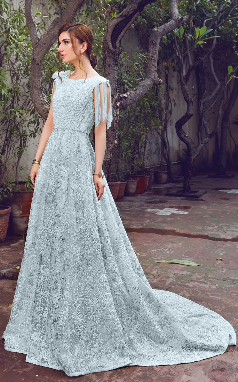 Organza Embroidered Dress